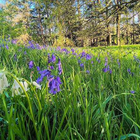 Tranquil Getaway Near Brecon Beacons Apartment Ландоувъри Екстериор снимка
